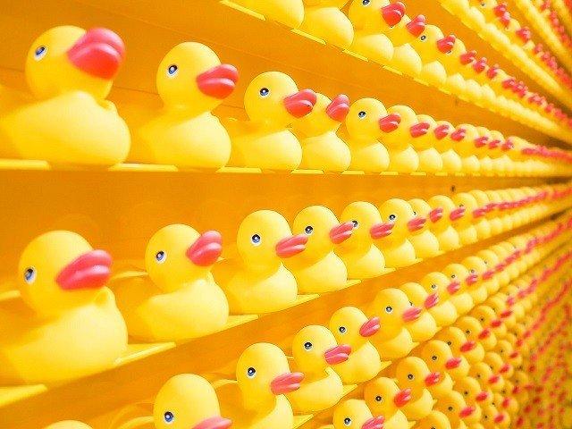 Резиновые уточки