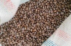 Экскурсия, лекция и каппинг на производстве BunaCoffee
