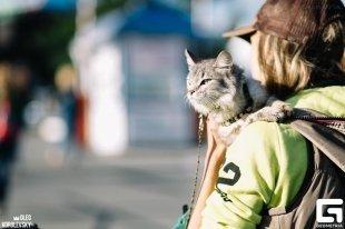 «ЧестФест»
